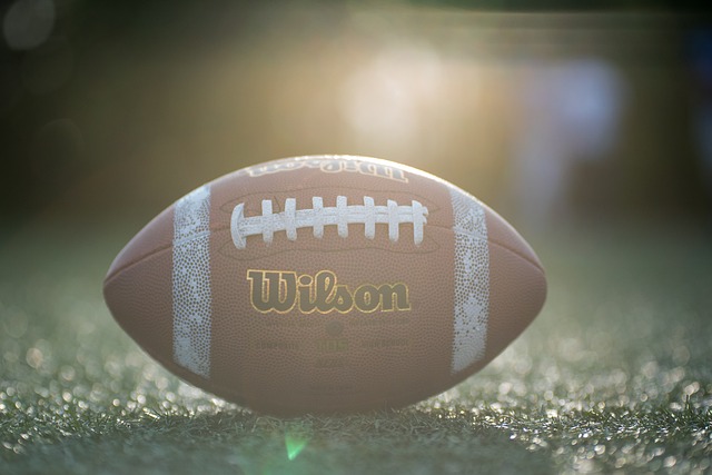 他们展现出 他们展现出