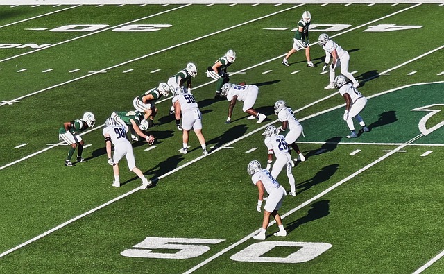 力是他能够 力是他能够