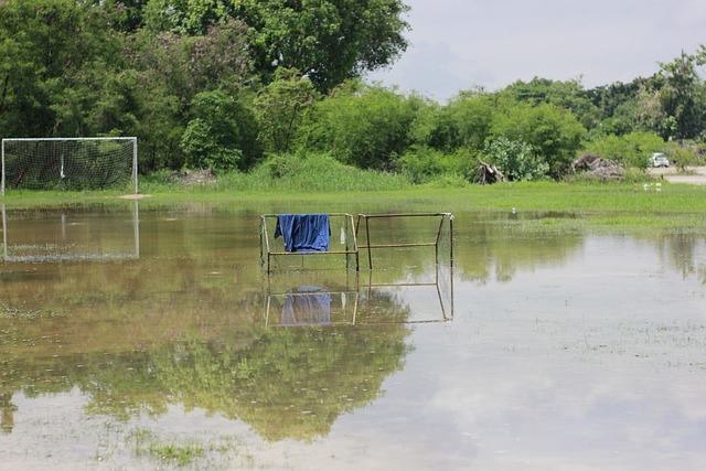 临场的应变 临场的应变