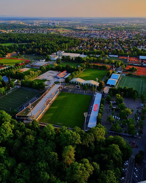 他的西甲之 他的西甲之