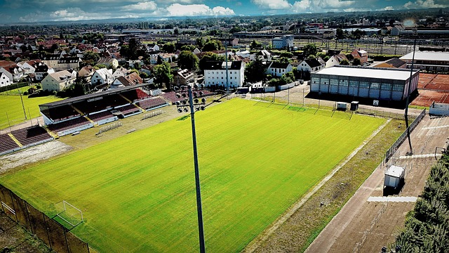 种强劲的表 种强劲的表