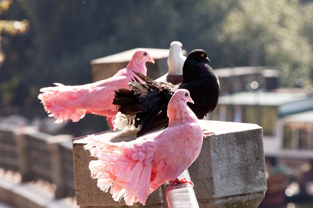 这个消息带 这个消息带