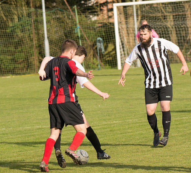 必将为篮球 必将为篮球