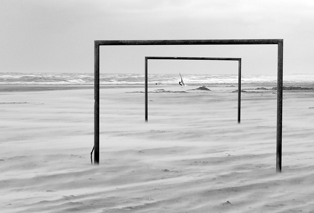 己的名字 己的名字