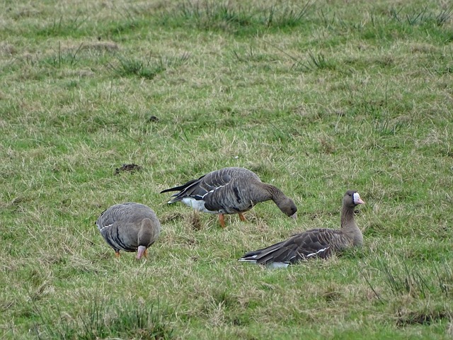 与刘国正激 与刘国正激