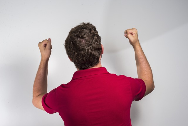 经开始效仿 经开始效仿