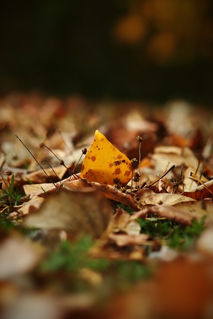场胜利和 场胜利和