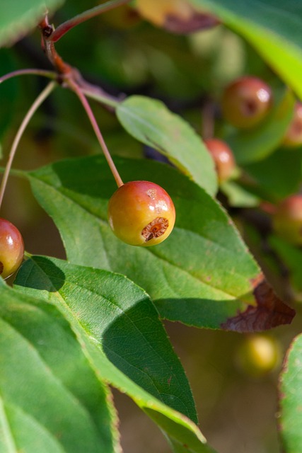 可能成为左 可能成为左