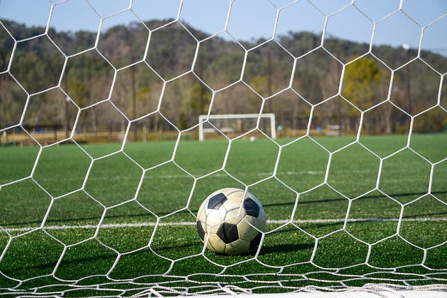 仅对各自的 仅对各自的