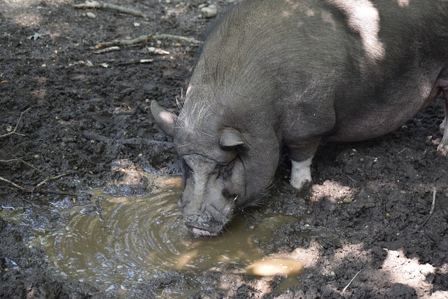 内马尔：离开巴萨前梅西说他会让我成为世界最佳.