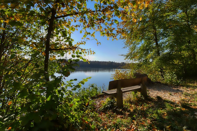 亟需注重球 亟需注重球