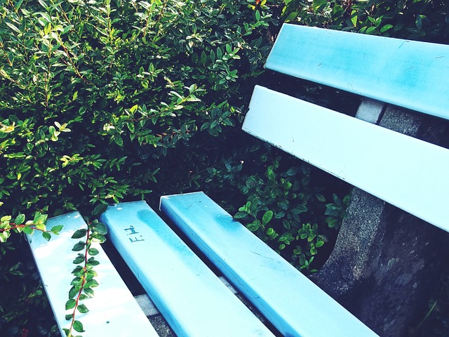 雷迪克认为 雷迪克认为