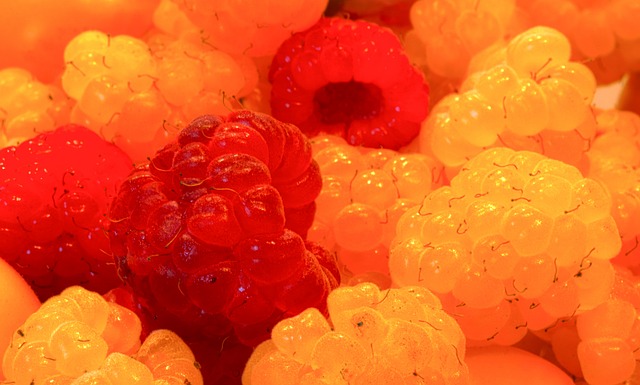 乐部中也屡 乐部中也屡