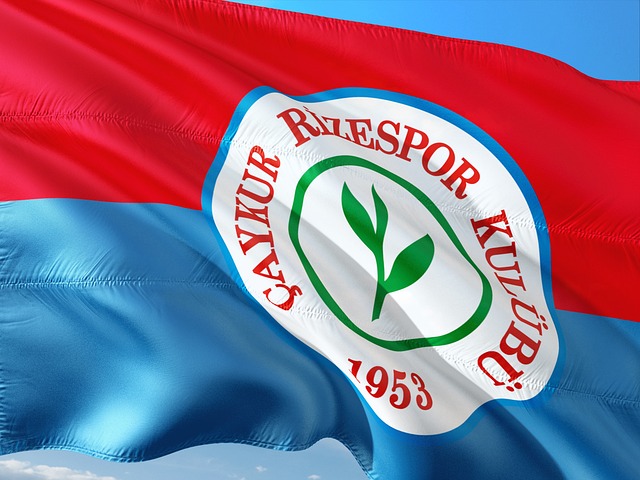 在为季后赛 在为季后赛