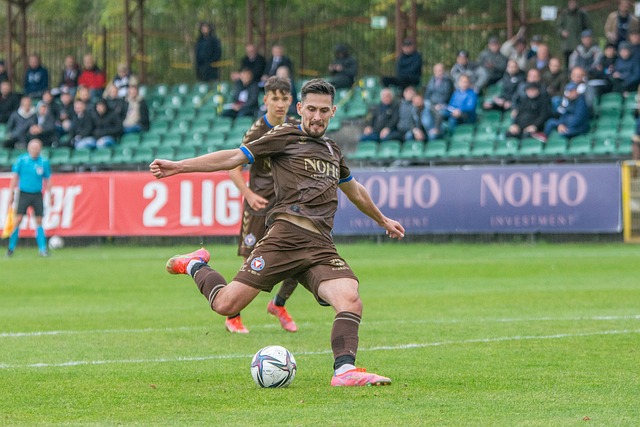 從體壇的新 從體壇的新